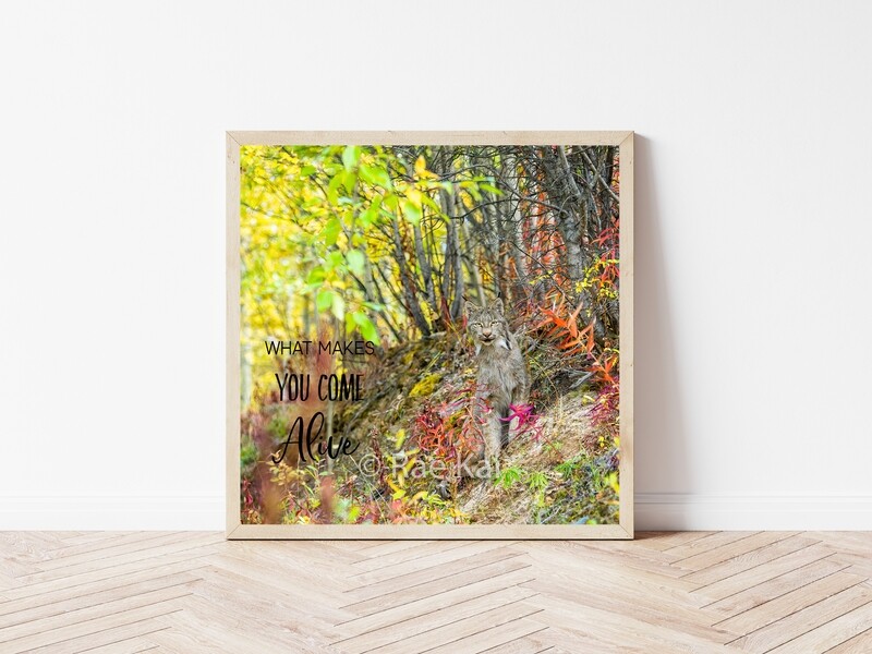 What Makes You Come Alive-Inspirational Square Photo