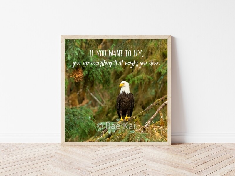 If You Want to Fly-Inspirational Square Photo