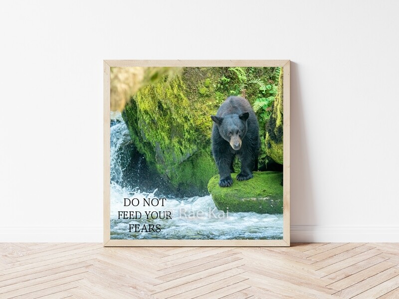 Do Not Feed Your Fears-Inspirational Square Photo