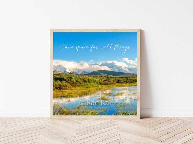 Save Space For Wild Things-Inspirational Square Photo