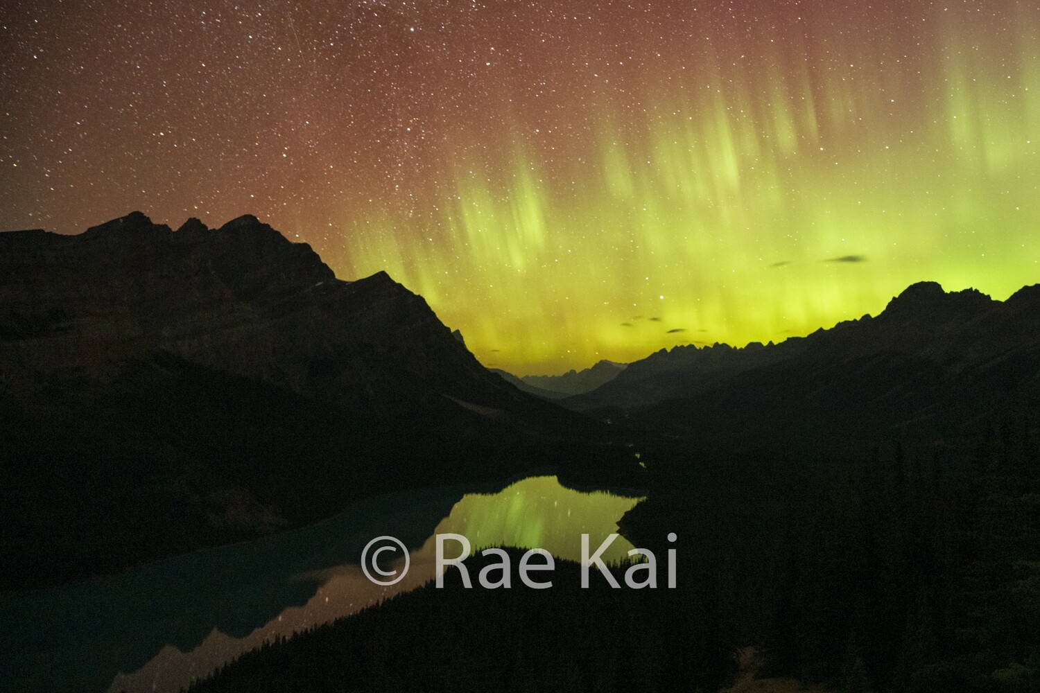 Peyto Lights-Traditional Photo