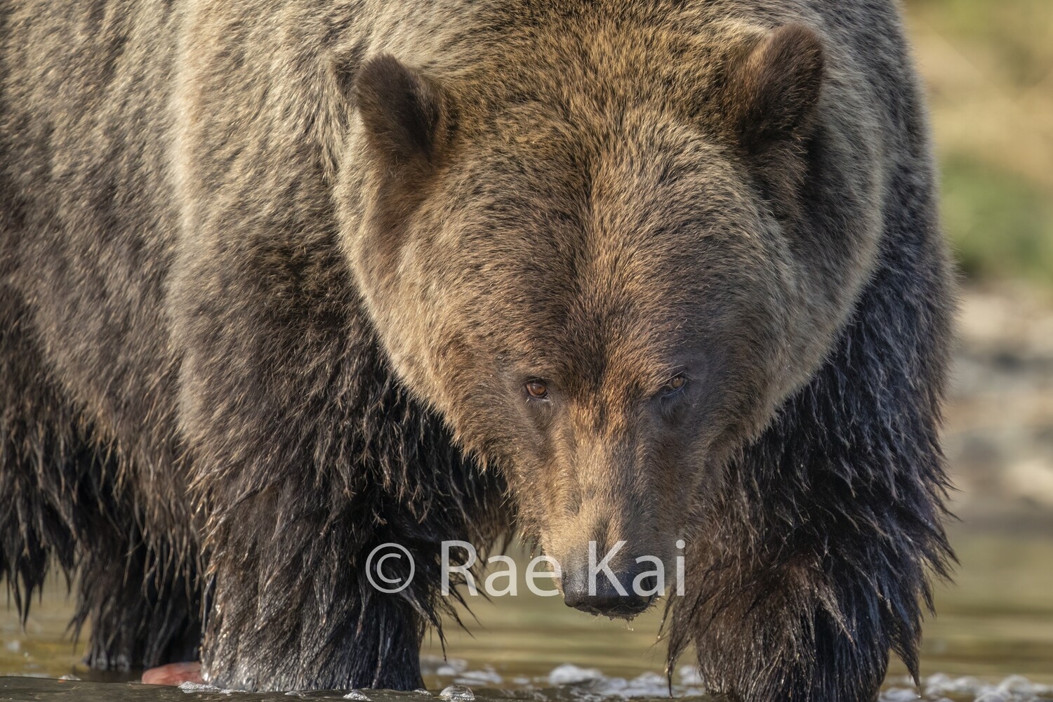 Look Down-Traditional Photo