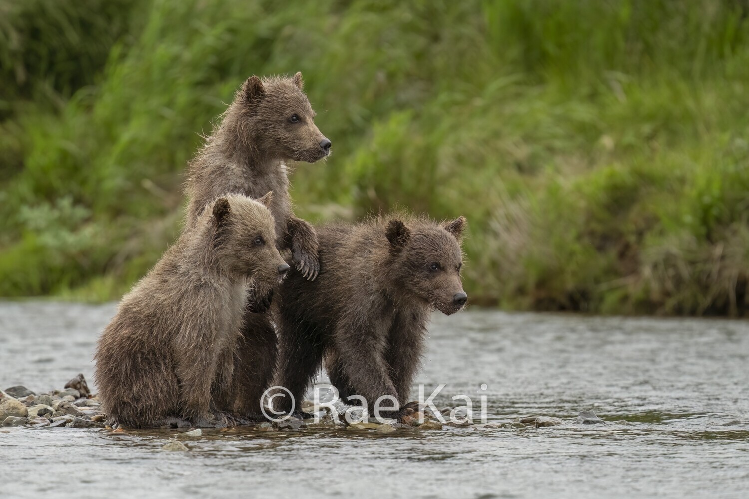 Triplet Lookout-Traditional Photo