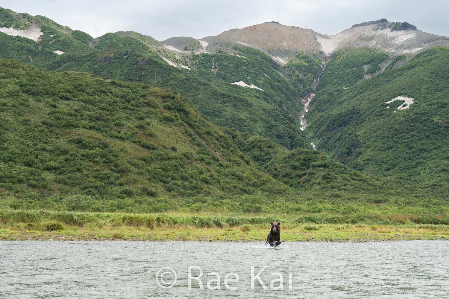 Fishing with a View-Traditional Photo