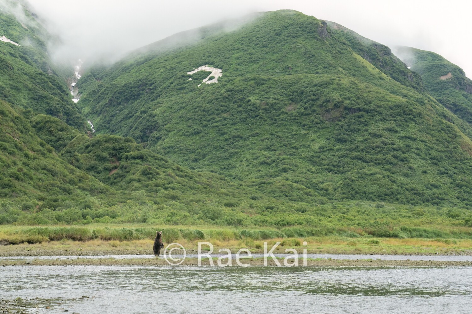 Emerald Isle-Traditional Photo