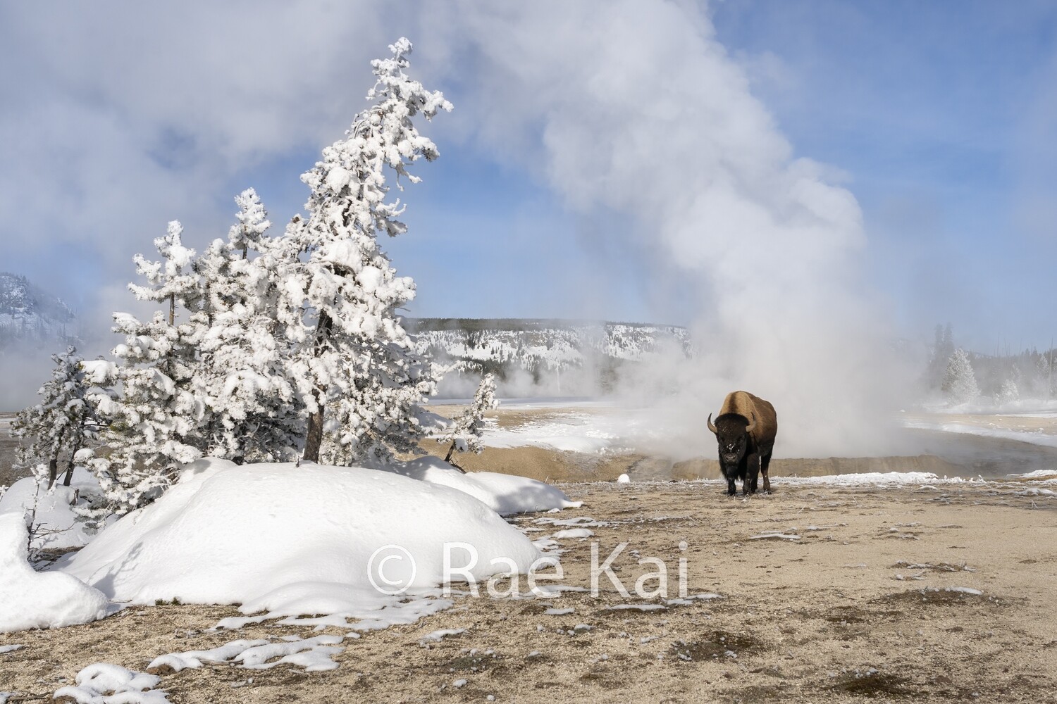 Winter Hotspot-Traditional Photo