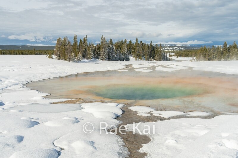 Colorful Pool-Traditional Photo