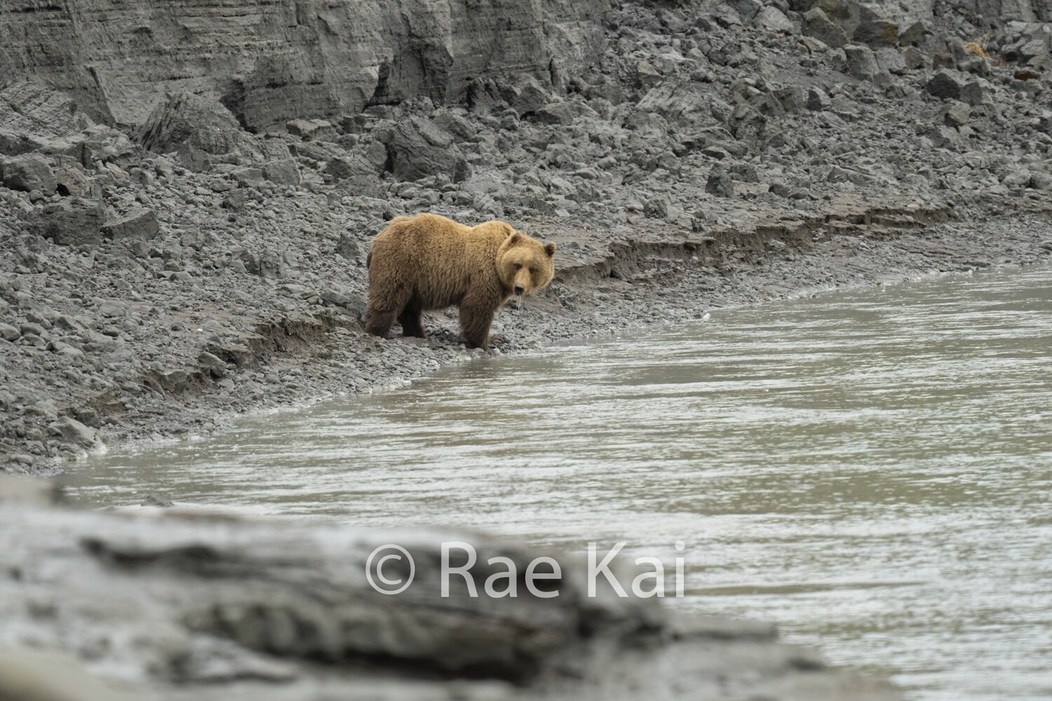 Rocky Shoreline-Traditional Photo
