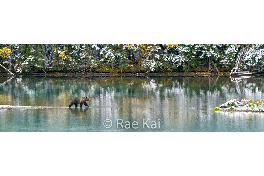 Colorful Scene Panoramic-Panoramic Traditional Photo