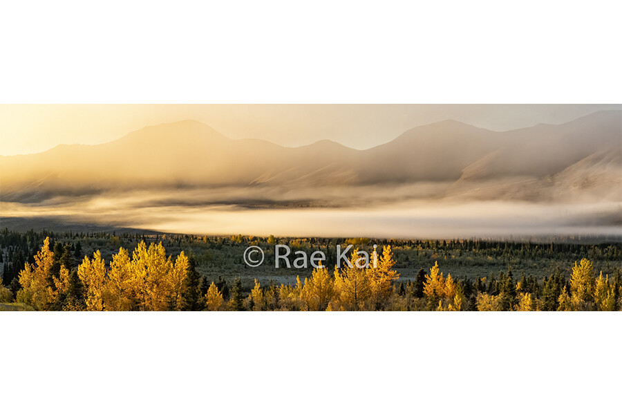 Fall Fog Panoramic-Panoramic Traditional Photo