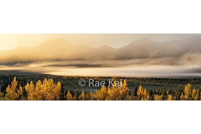 Fall Fog Panoramic-Panoramic Traditional Photo
