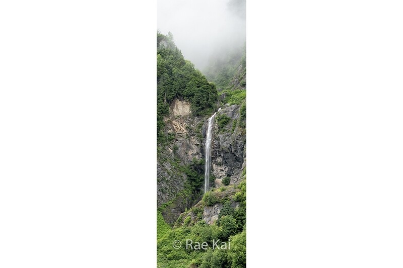 Rainforest Waterfall Panoramic-Panoramic Traditional Photo