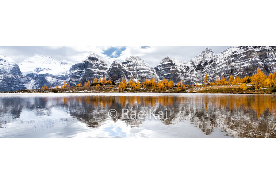 Larch Reflection Panoramic-Panoramic Traditional Photo