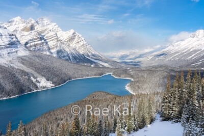 Winter Landscapes