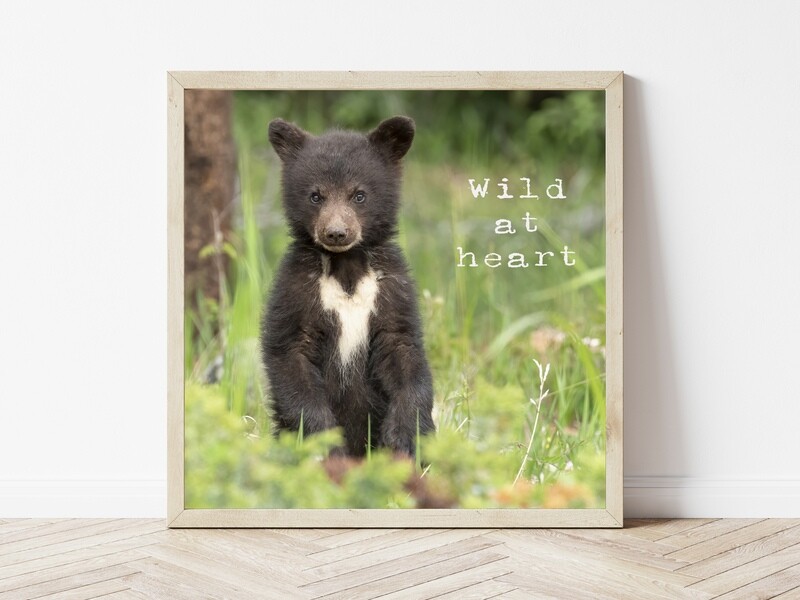 Wild at Heart-Inspirational Square Photo