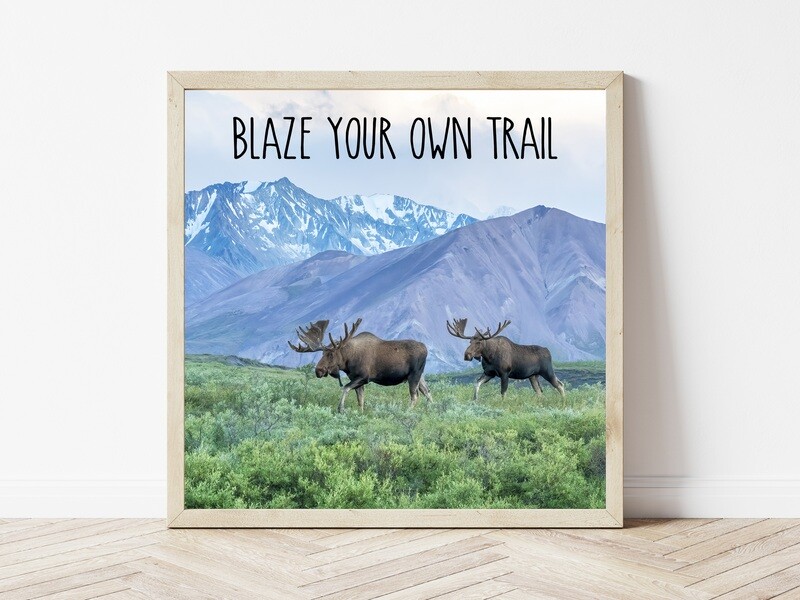 Blaze Your Own Trail-Inspirational Square Photo