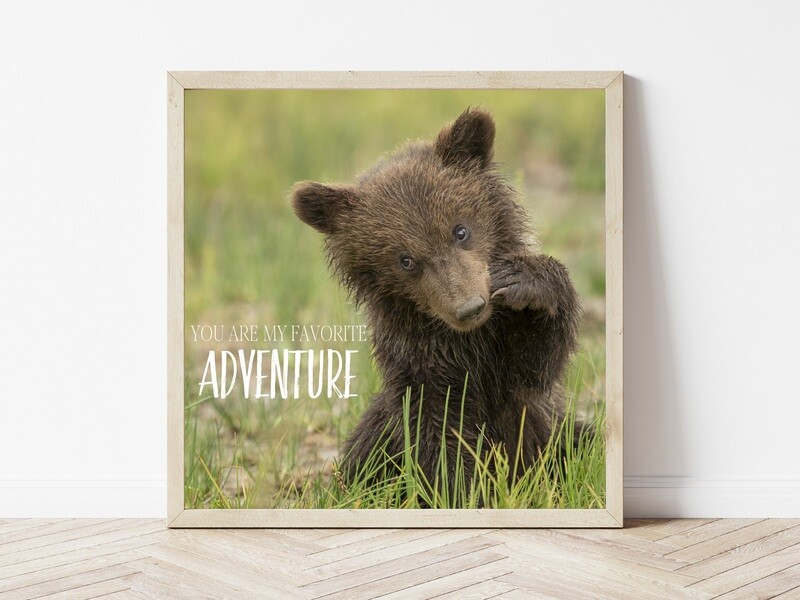 You Are My Favorite Adventure-Inspirational Square Photo