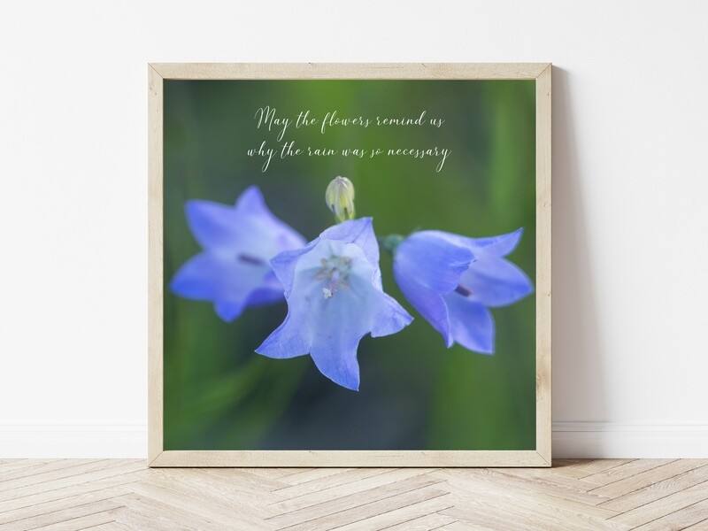 May The Flowers Remind Us-Inspirational Square Photo