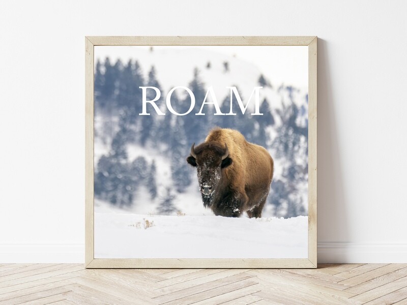 Roam-Inspirational Square Photo