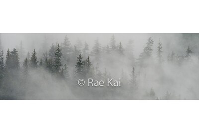 Landscape Panoramics