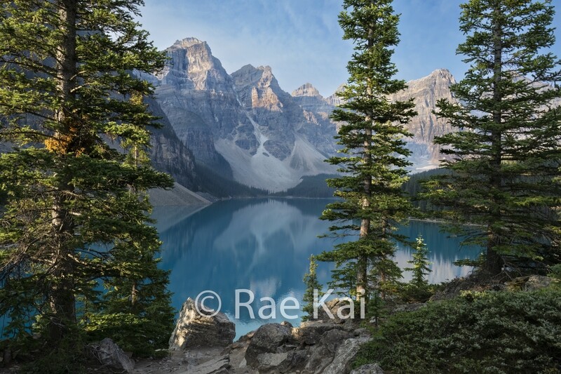Moraine Through the Trees-Traditional Photo