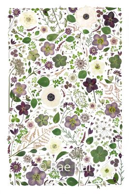 Pressed Flower Collage Photos