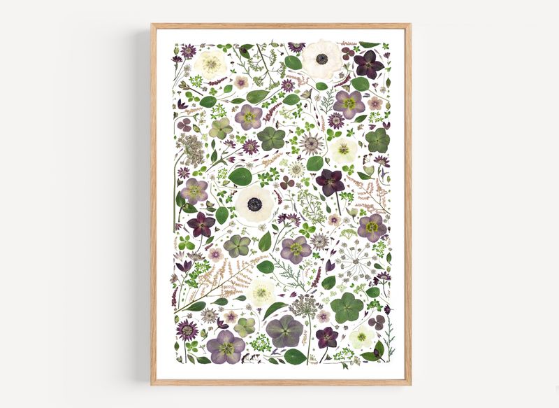 Pressed Flower Collage Photo 6