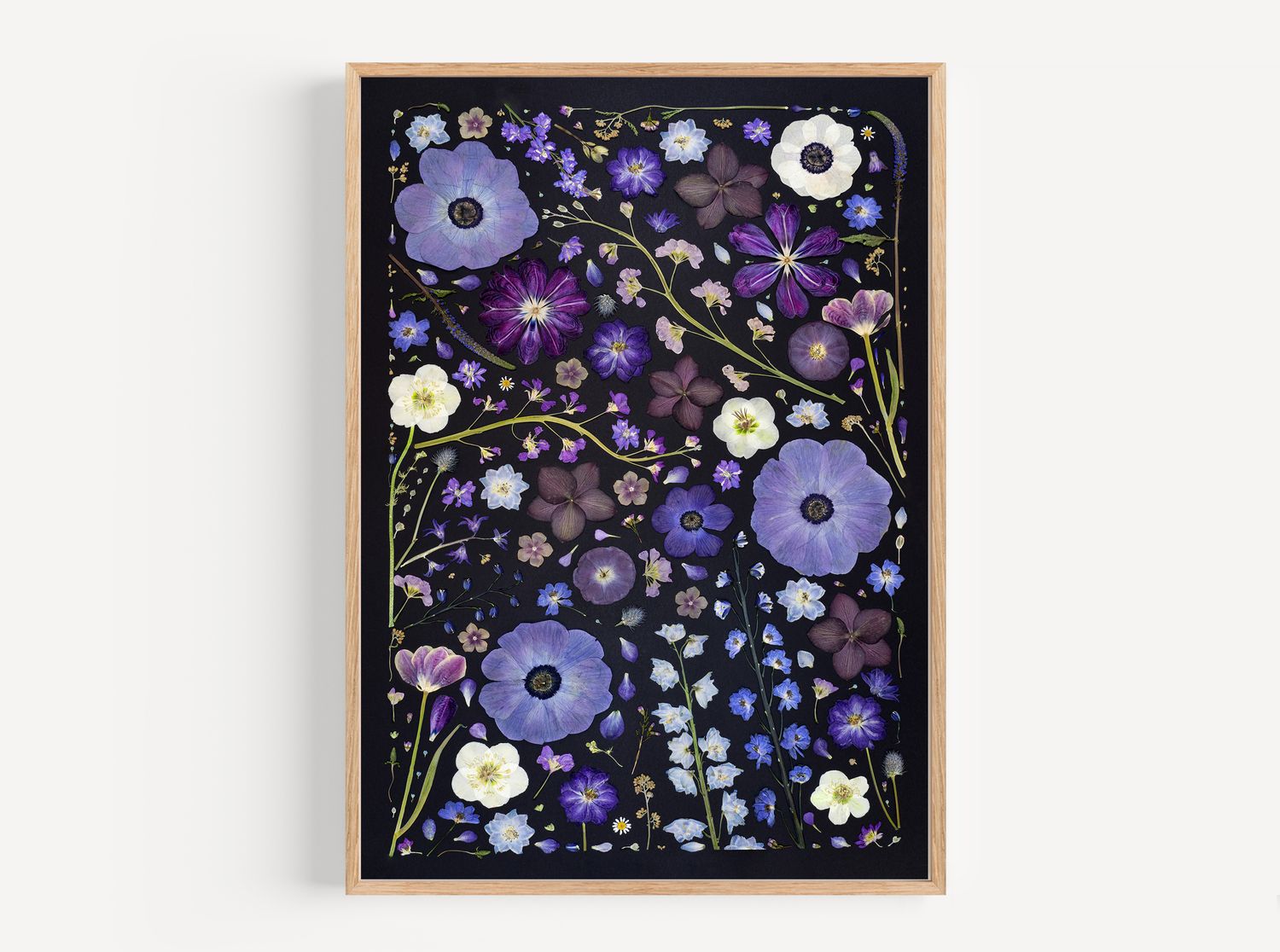 Pressed Flower Collage Photo 8