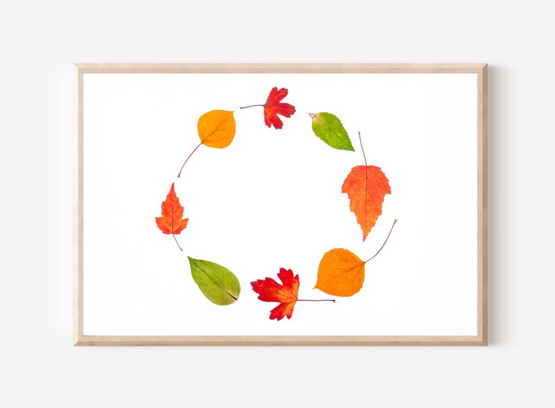 Macro Pressed Flower Photo 12