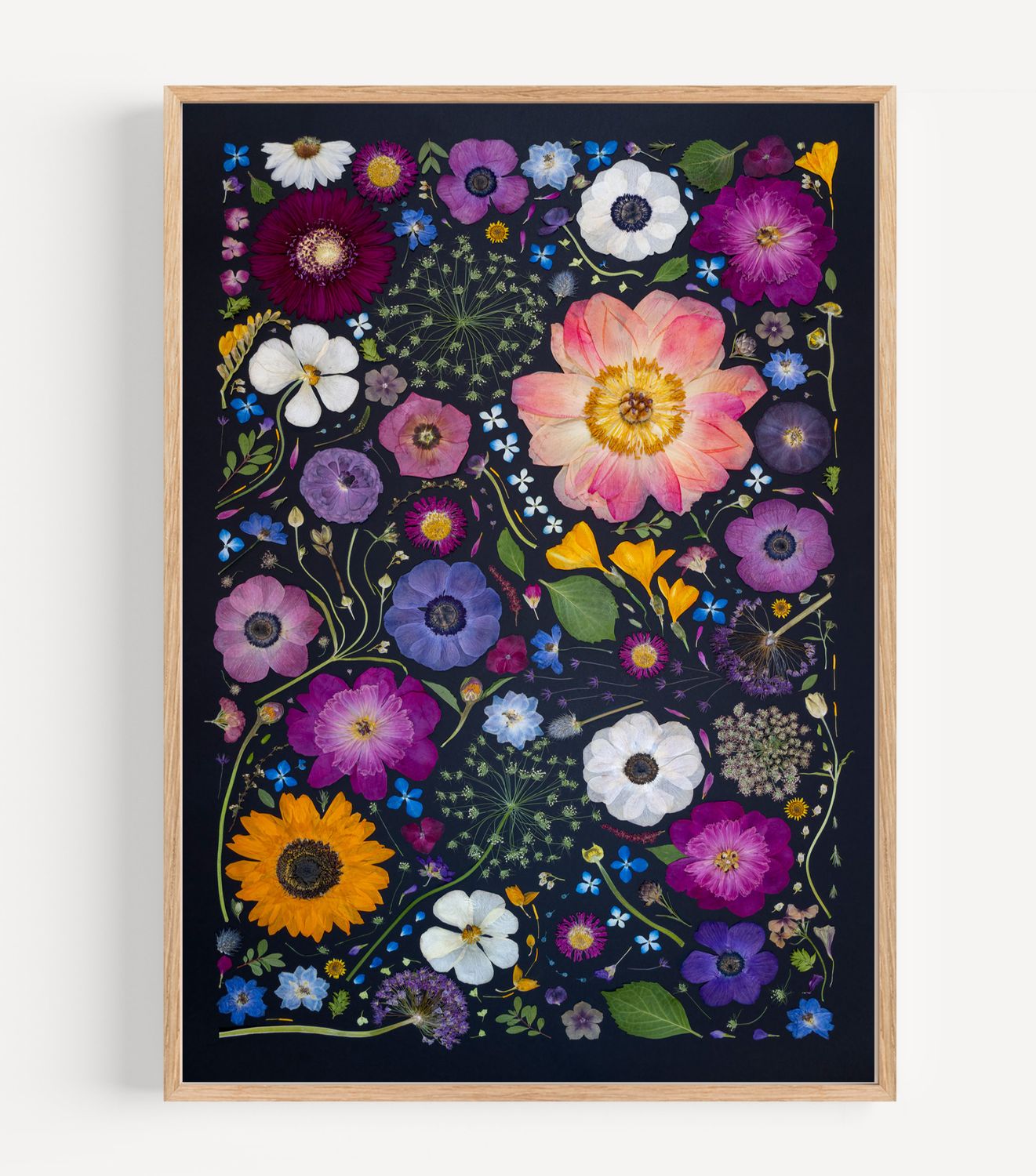 Pressed Flower Collage Photo 1