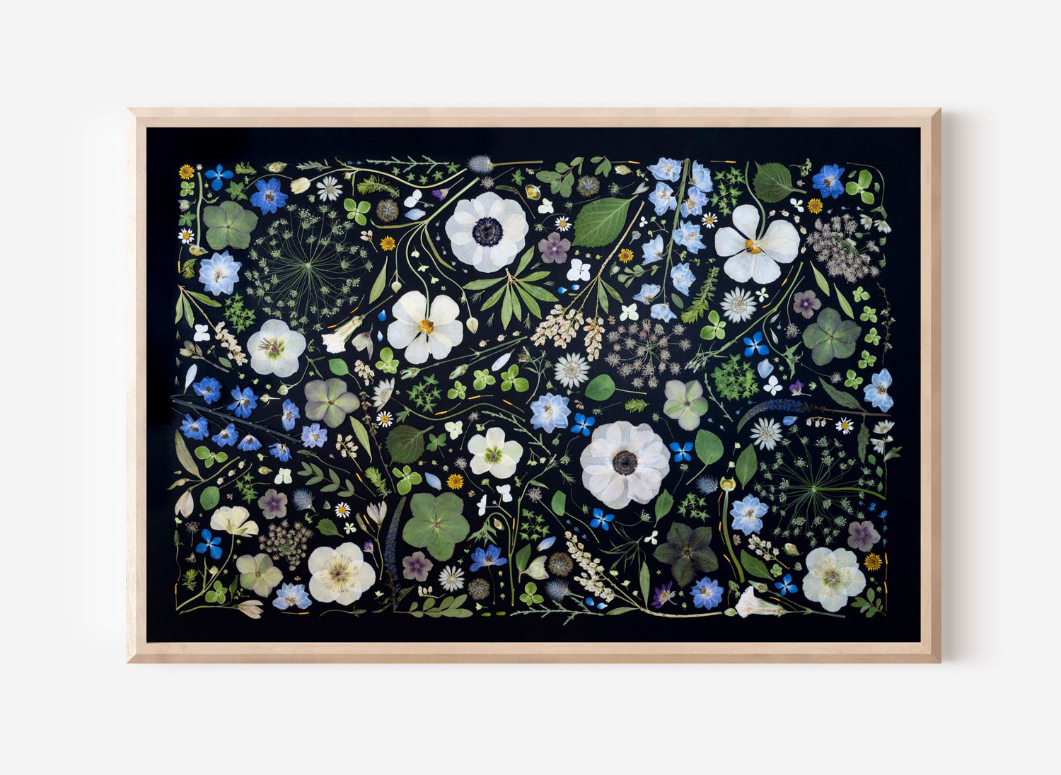 Pressed Flower Collage Photo 3
