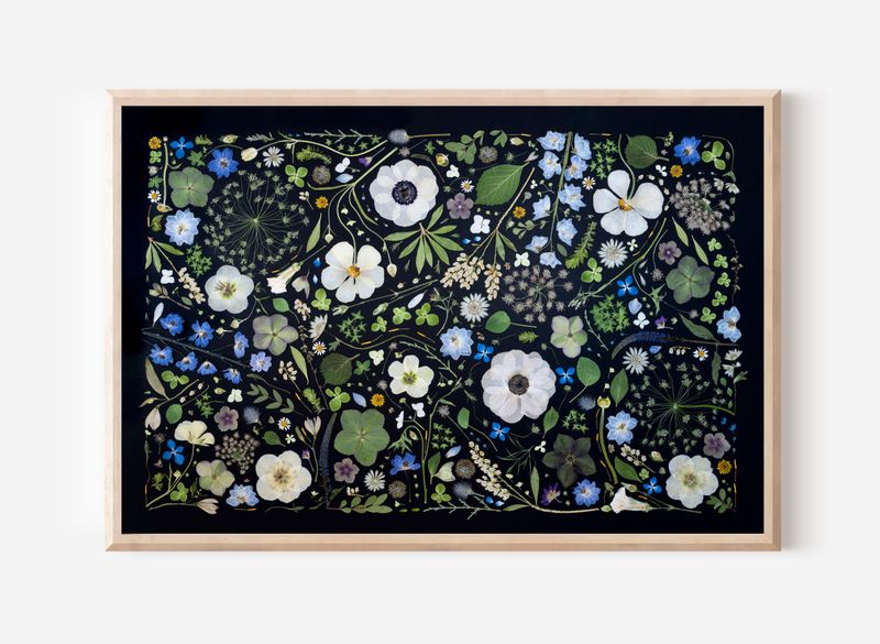 Pressed Flower Collage Photo 5