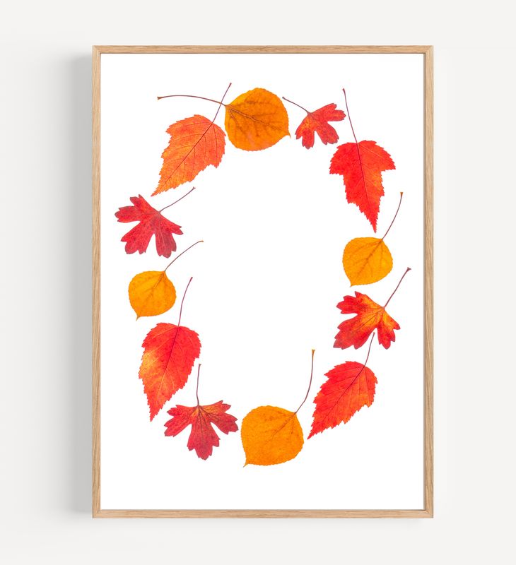 Macro Pressed Flower Photo 22