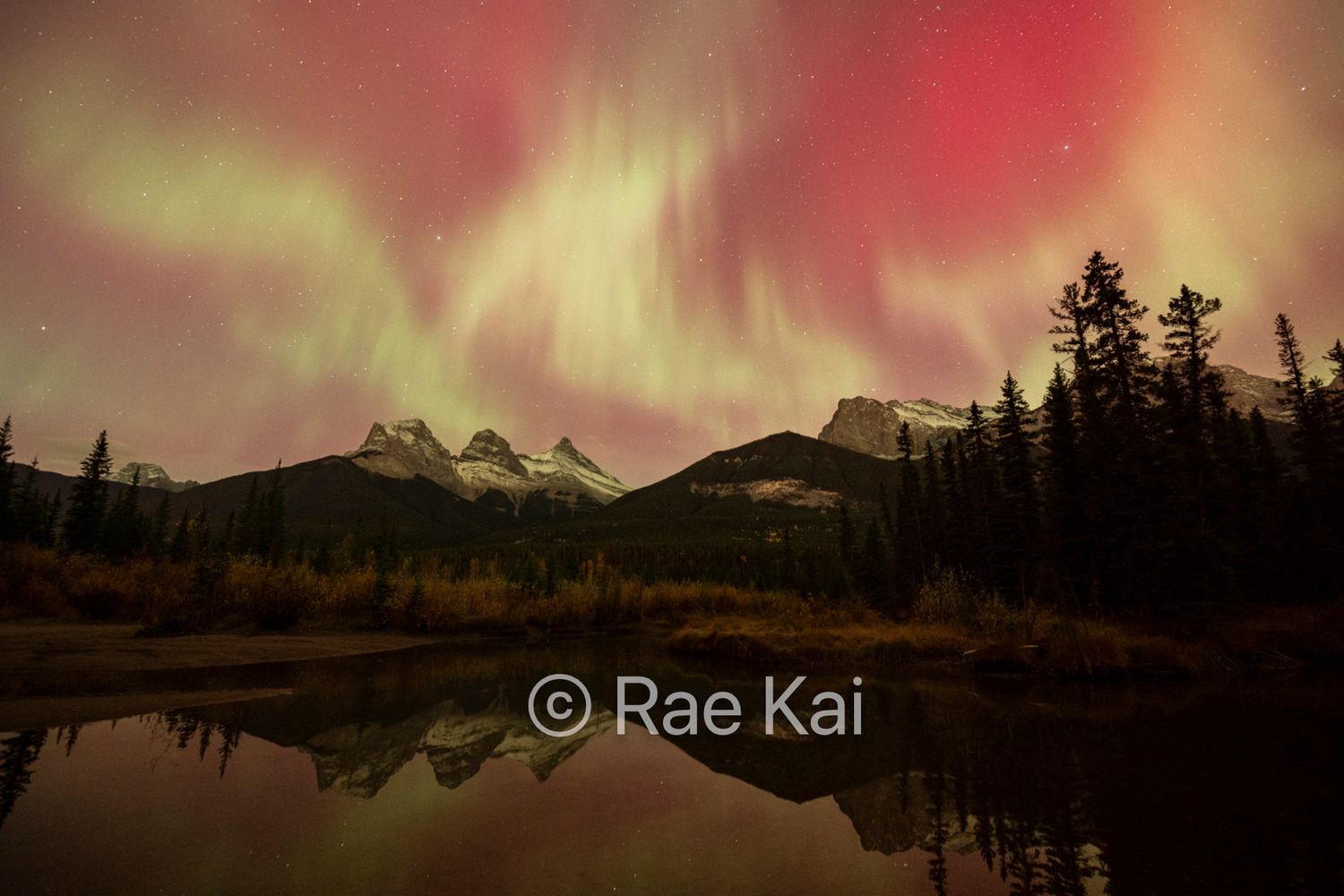 Aurora Majesty-Traditional Photo