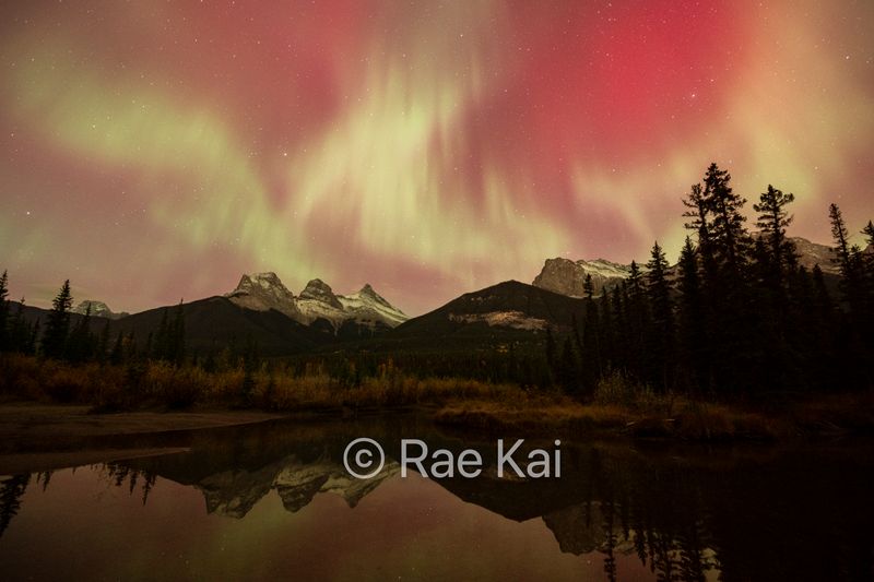 Aurora Majesty-Traditional Photo