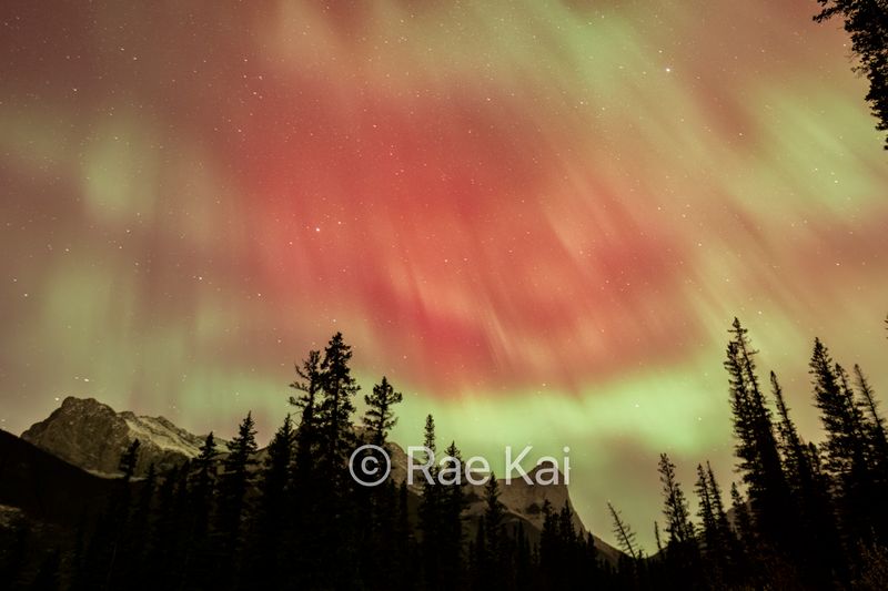Red Flare-Traditional Photo