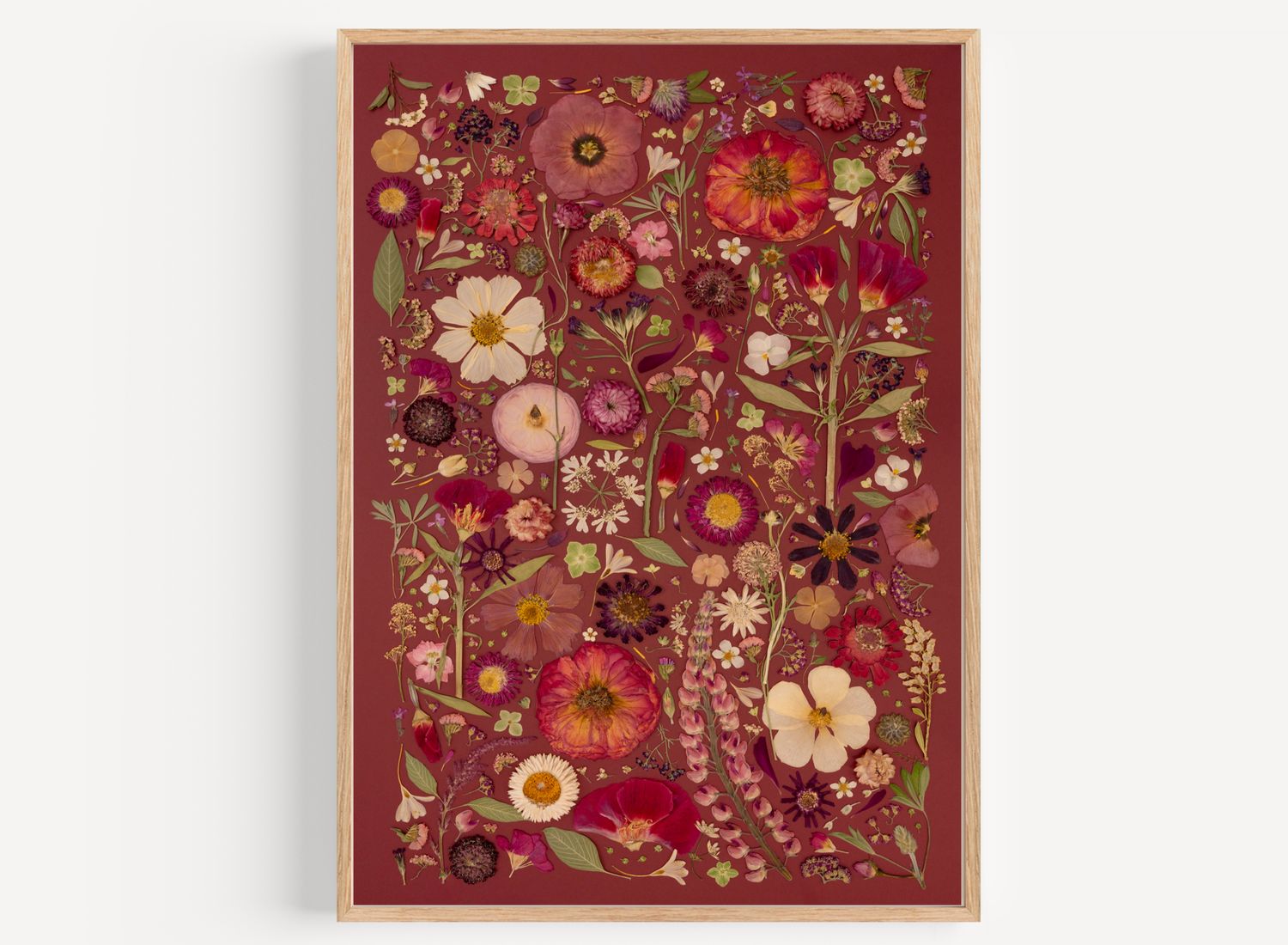 Pressed Flower Collage Photo 4