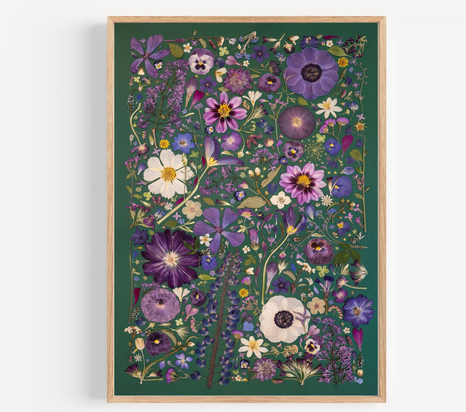 Pressed Flower Collage Photo 2