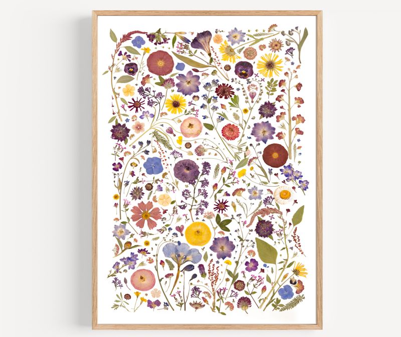 Pressed Flower Collage Photo 1