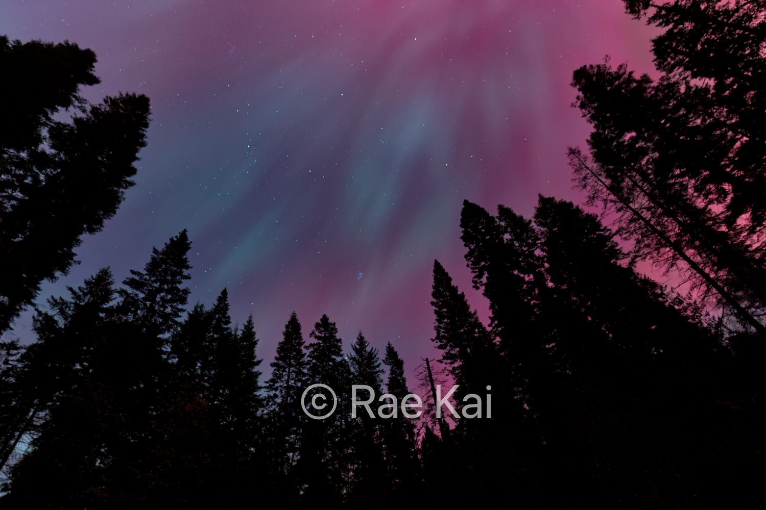 Mystical Lights-Traditional Photo