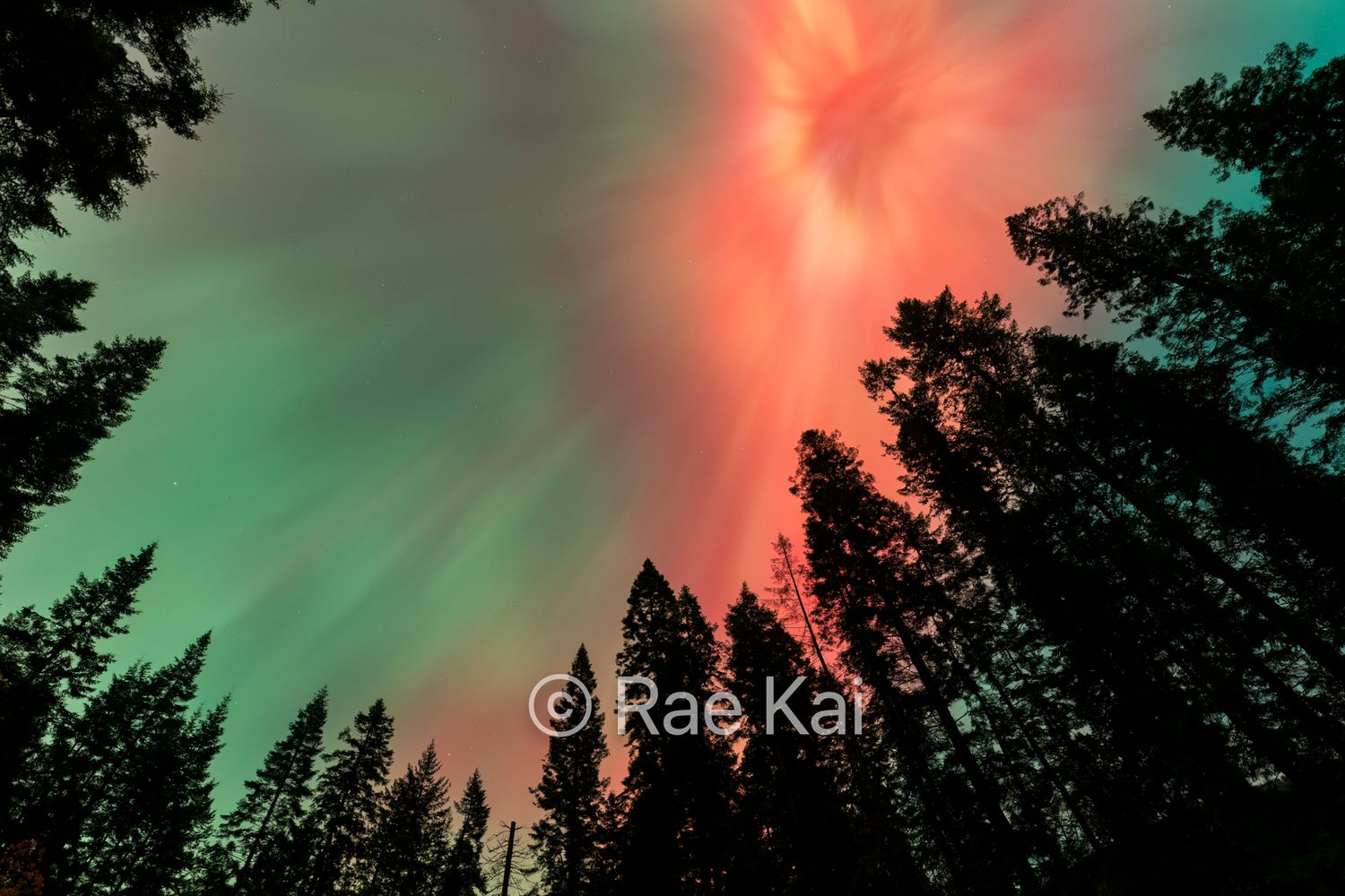 Eye of the Aurora-Traditional Photo