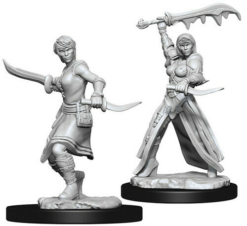 D&amp;D Minis: Human Rogue Female