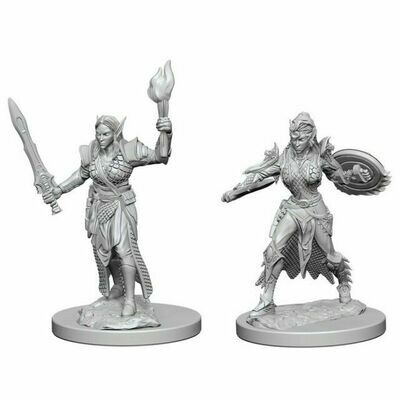 Pathfinder Deep Cuts Miniatures: Elf Female Fighter