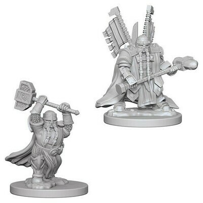 D&D Minis: Dwarf Male Paladin D&D Minis: Dwarf Male Paladin