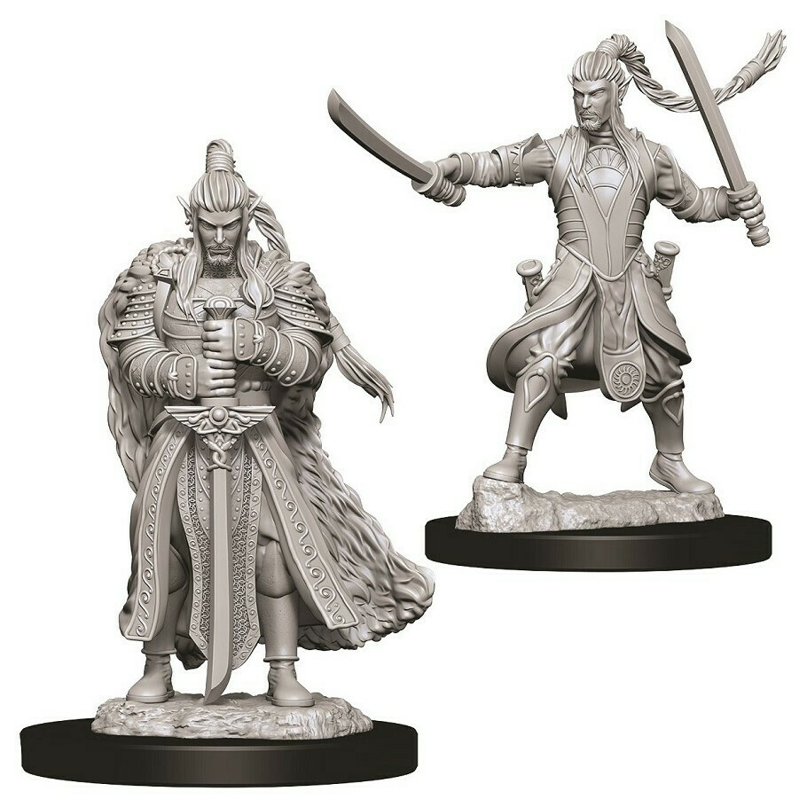 D&amp;D Minis: Elf Male Paladin