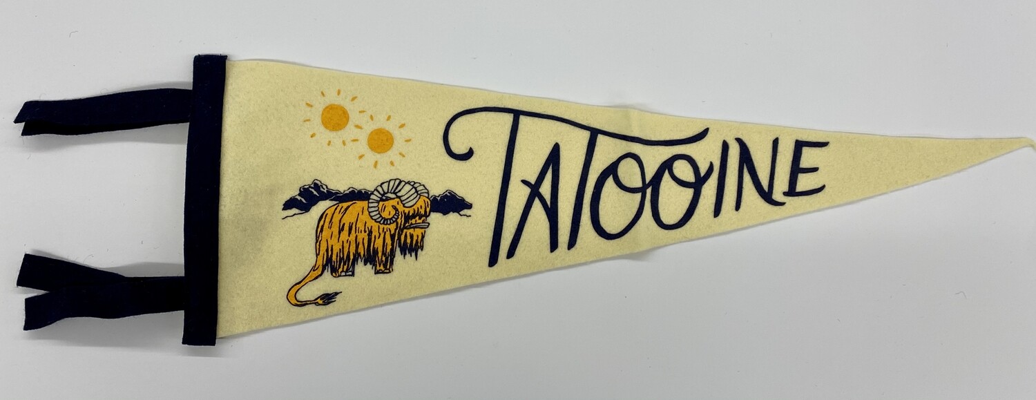 Frog &amp; Toad Tatooine Pennant