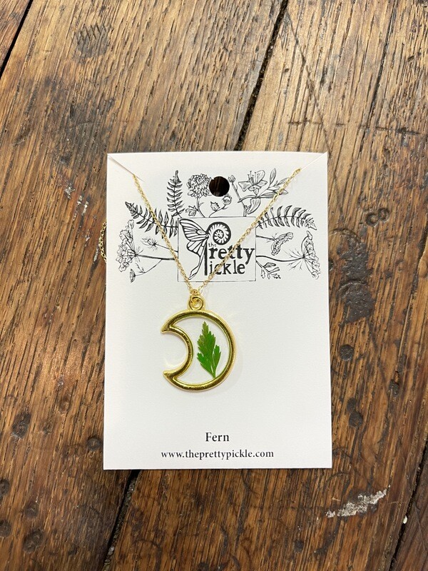 Moon fern