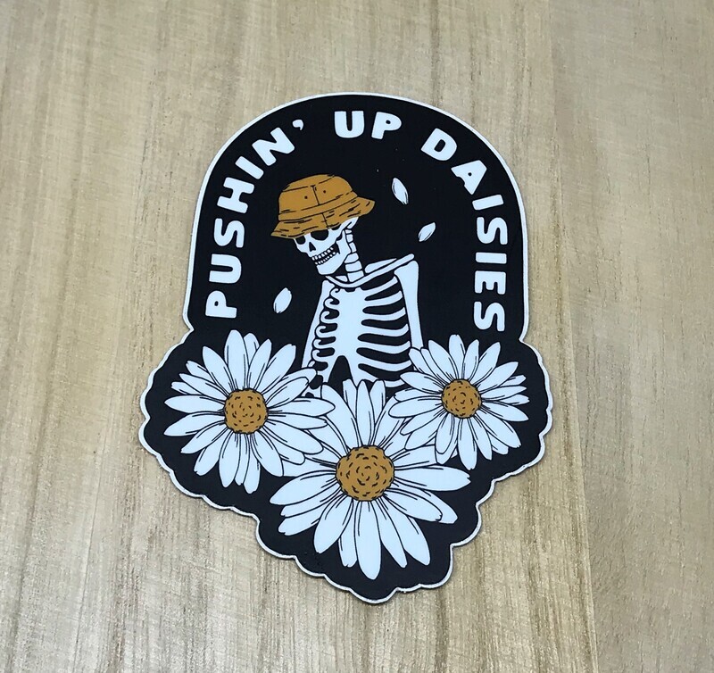 pushin up daisies