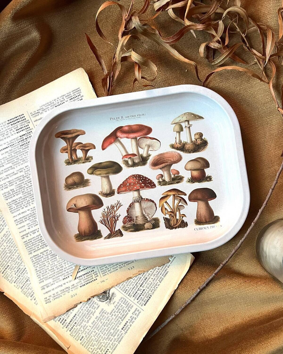 tan mushroom tray