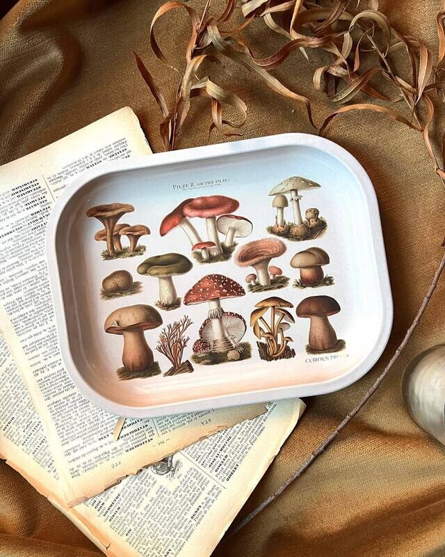 tan mushroom tray
